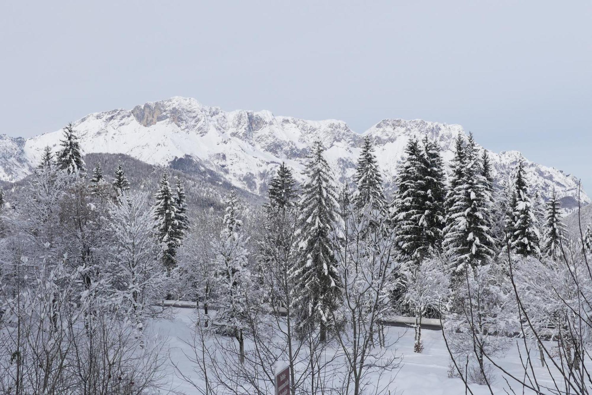 Ferienwohnungen Haus Kunterbunt Berchtesgaden Buitenkant foto